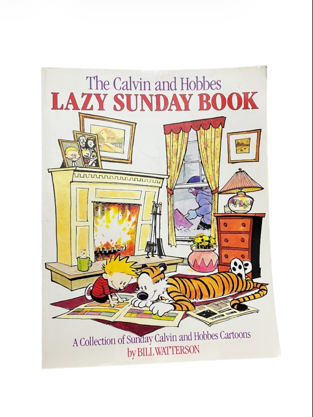 2/$10 Calvin and Hobbes 'Lazy Sunday Book'